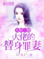 天價二婚：大佬的替身罪妻