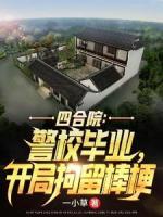 四合院：警校畢業(yè)，開局拘留棒梗