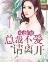 婚途陌路：總裁不愛請離開