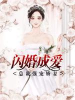 閃婚成愛：總裁強(qiáng)寵嬌妻