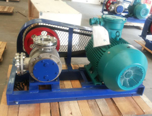 皮帶傳動(dòng)NYP轉(zhuǎn)子泵 皮帶傳動(dòng)NYP轉(zhuǎn)子泵